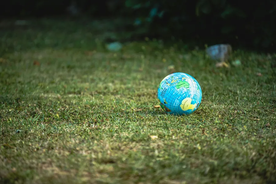 Ecological Impact - How Digitizing Certificates Contributes to a Greener Future